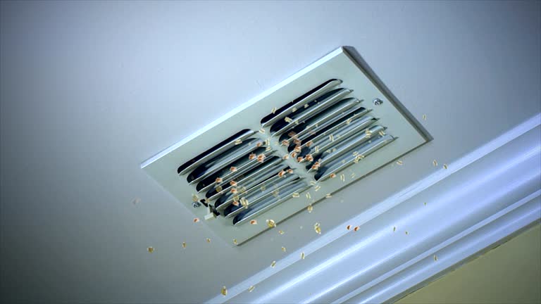 Best Air Duct Sanitizing Services  in Fairview Shores, FL