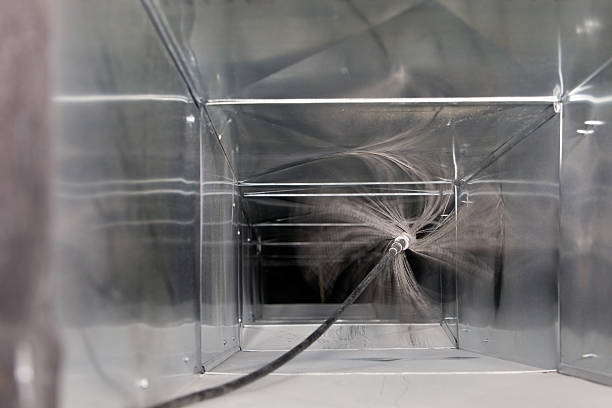 Air Duct Mold Removal in Fairview Shores, FL